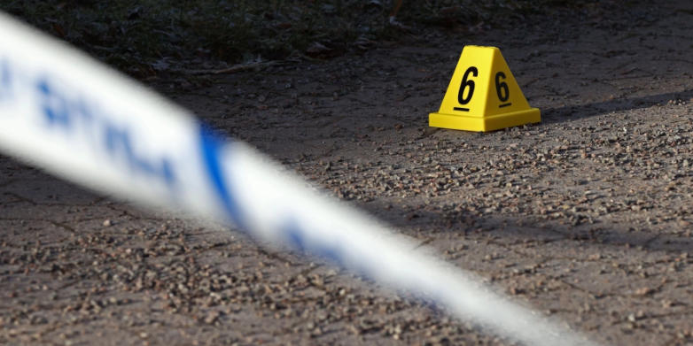 Police Hunt for Suspect in Bushey Triple Murder