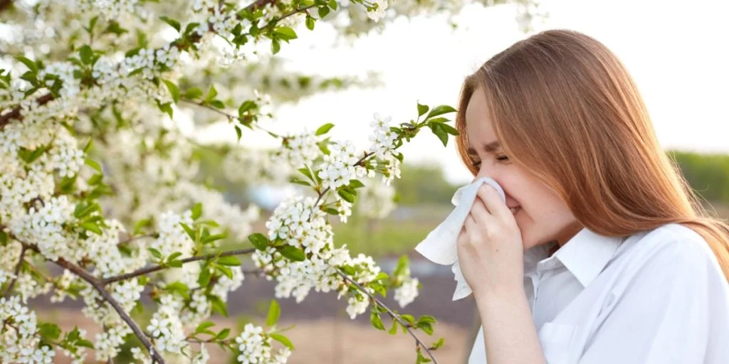 Navigating Pollen Allergy Season: Symptoms, Protection, and Treatment