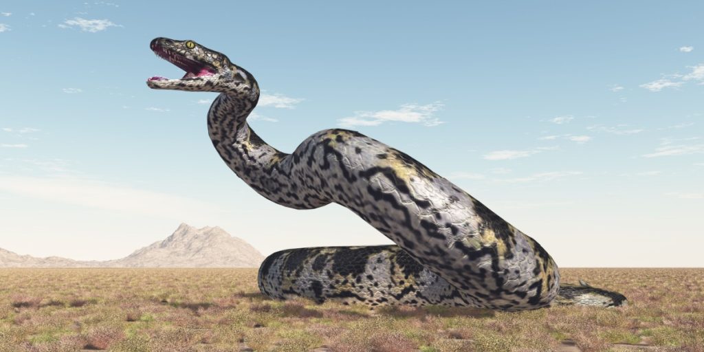 Mega-Snake Found in India Might Be the Largest Ever