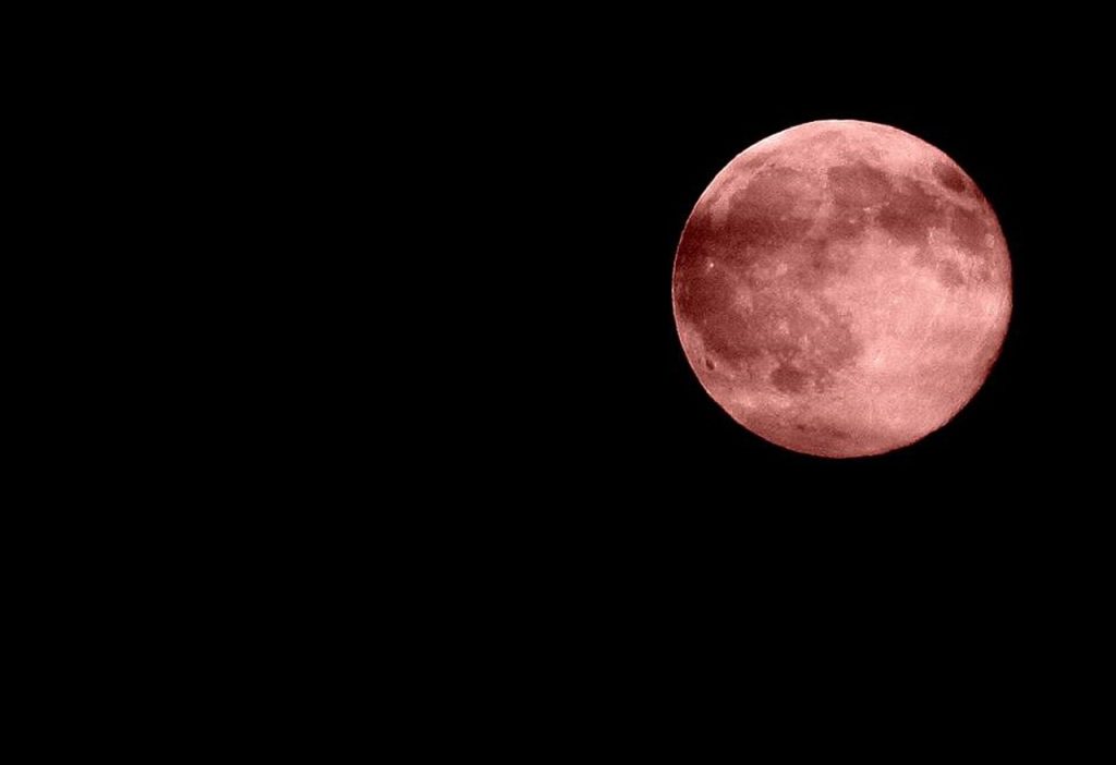 Look Up: The Strawberry Full Moon is Visible This Month
