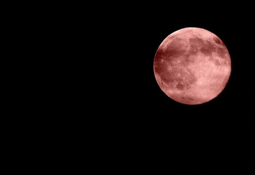 Look Up: The Strawberry Full Moon is Visible This Month