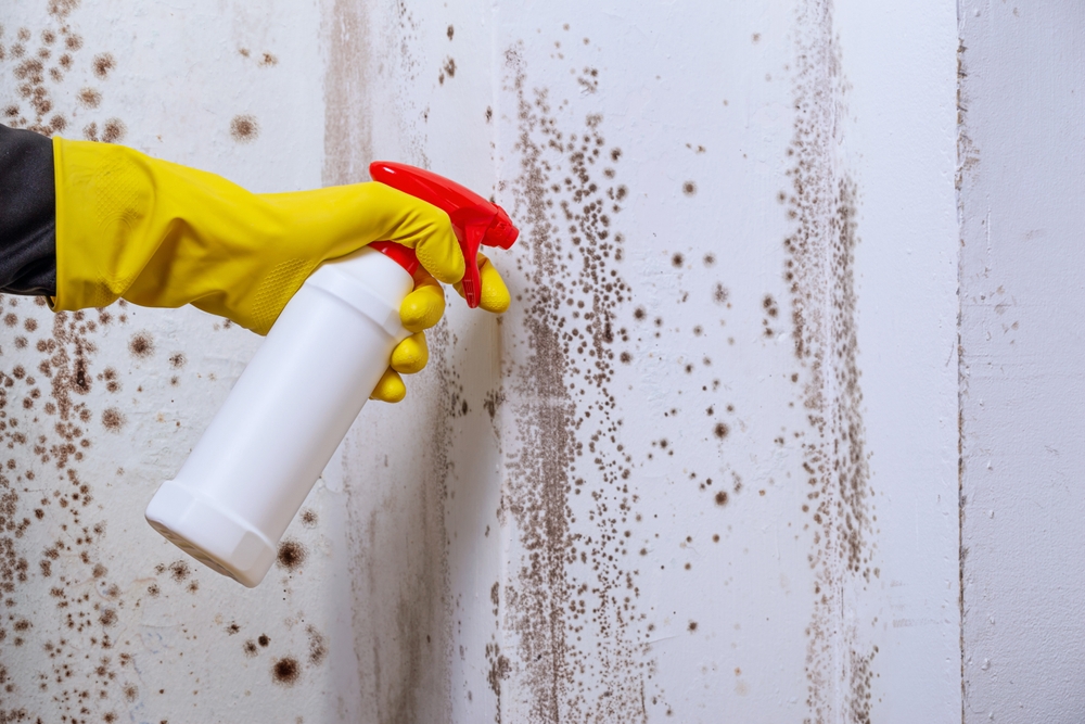 Home Cleaning: The Hidden Spots You Shouldn’t Overlook