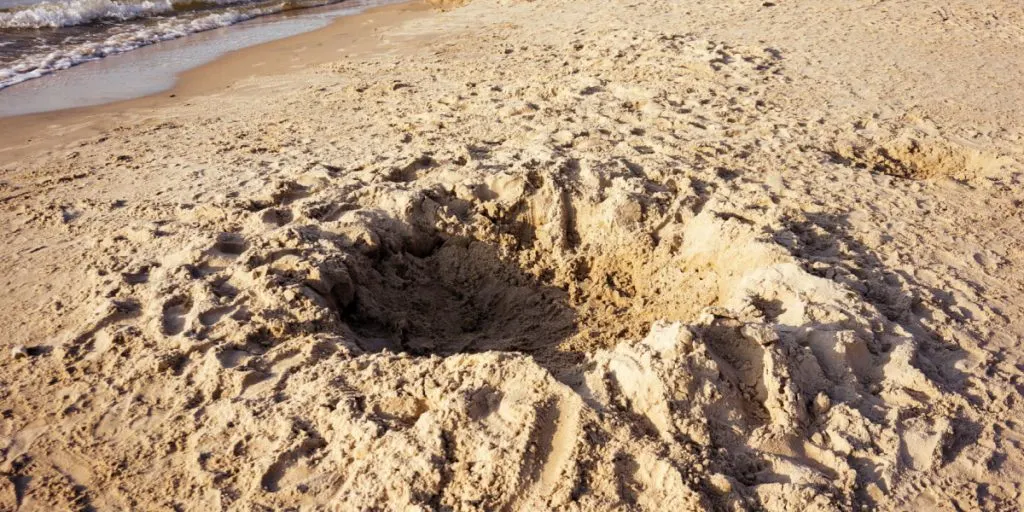 Many Fear Sharks, But Recent Beach Tragedy Points to a Different Danger
