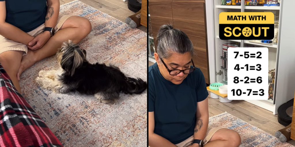 People stunned by viral video: Dog answers math questions