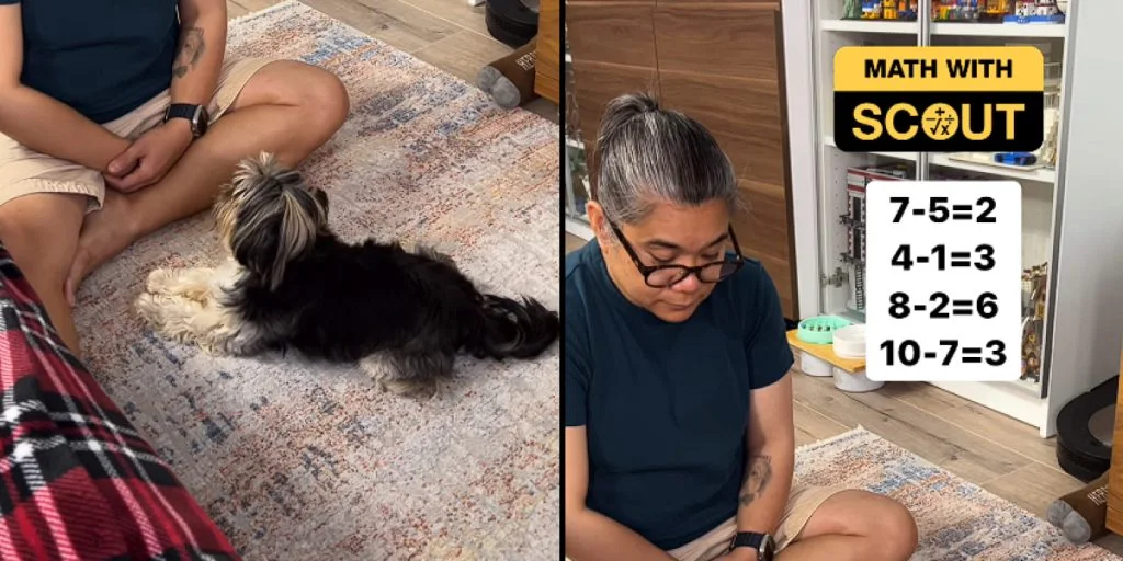 People stunned by viral video: Dog answers math questions