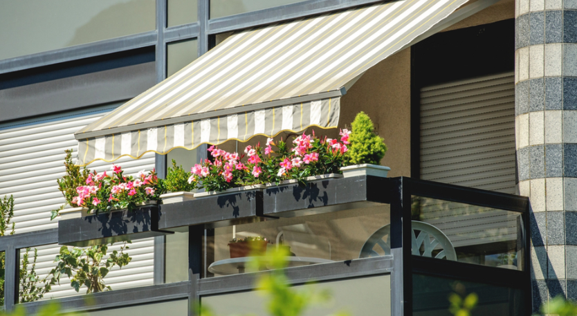 Keep Mosquitoes Away with This Simple Balcony Plant Addition