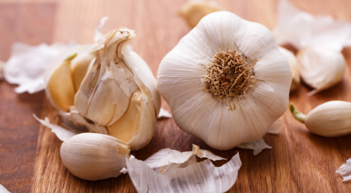 Natural Remedy Revolution: Garlic’s Unseen Power Against Household Pests