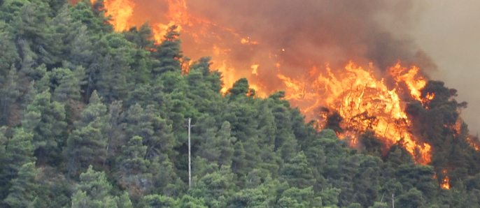 Suspect Arrested After Massive Wildfire in South Korea