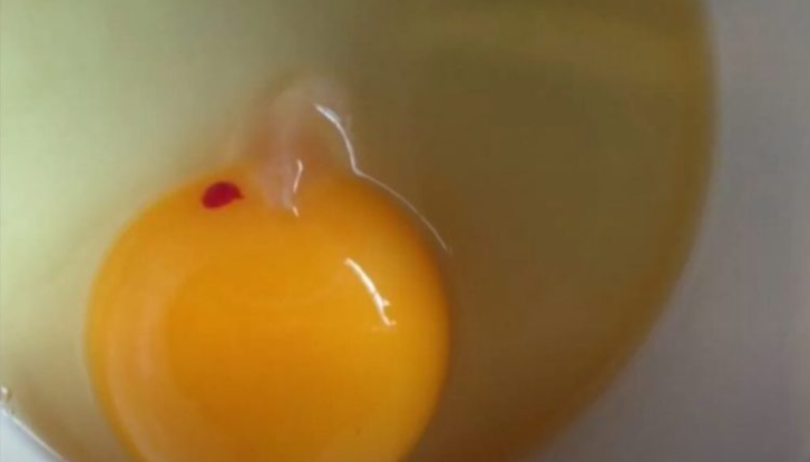 Red Spot in Your Egg? Here’s What You Need to Know
