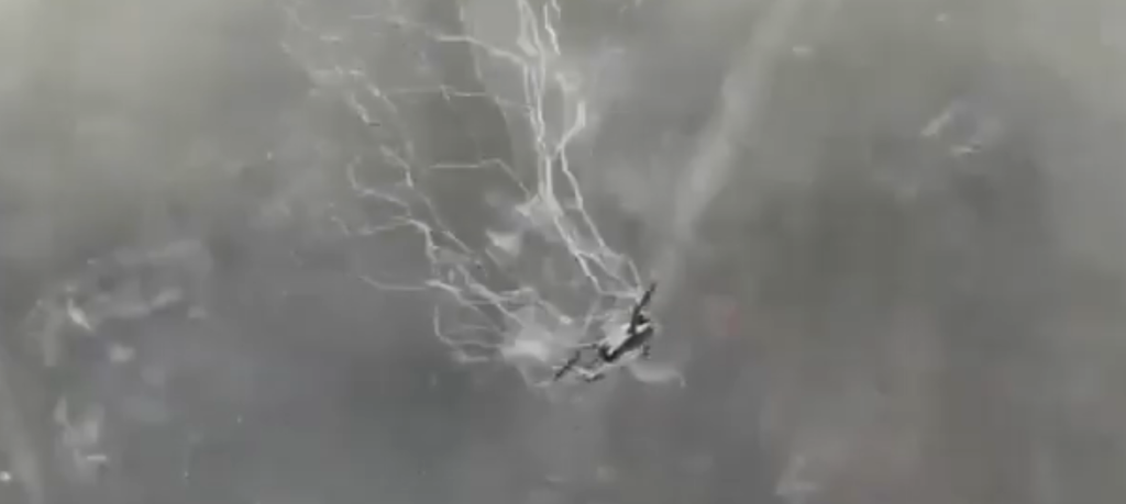 VIDEO: Ukraine’s “Spider-Man” Drone Nets Snare Russian Drones in Mid-Air Tactic
