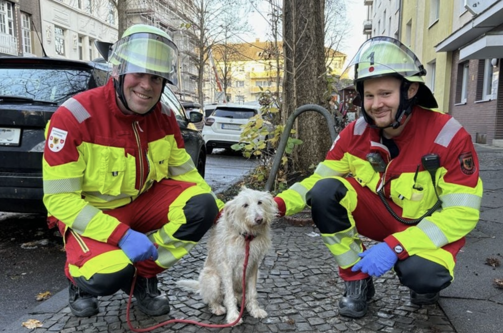 Firefighters Search Burning Apartment: Suddenly, a Four-Legged Friend Stands Before Them