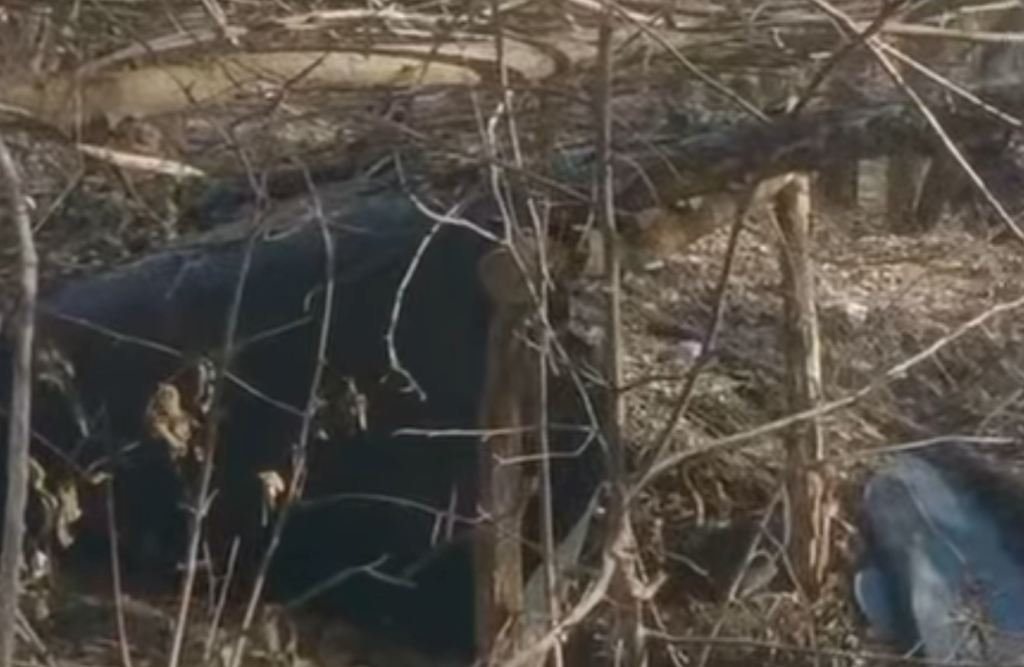 Video: Ukrainian Special Forces Capture 12 Russian Soldiers