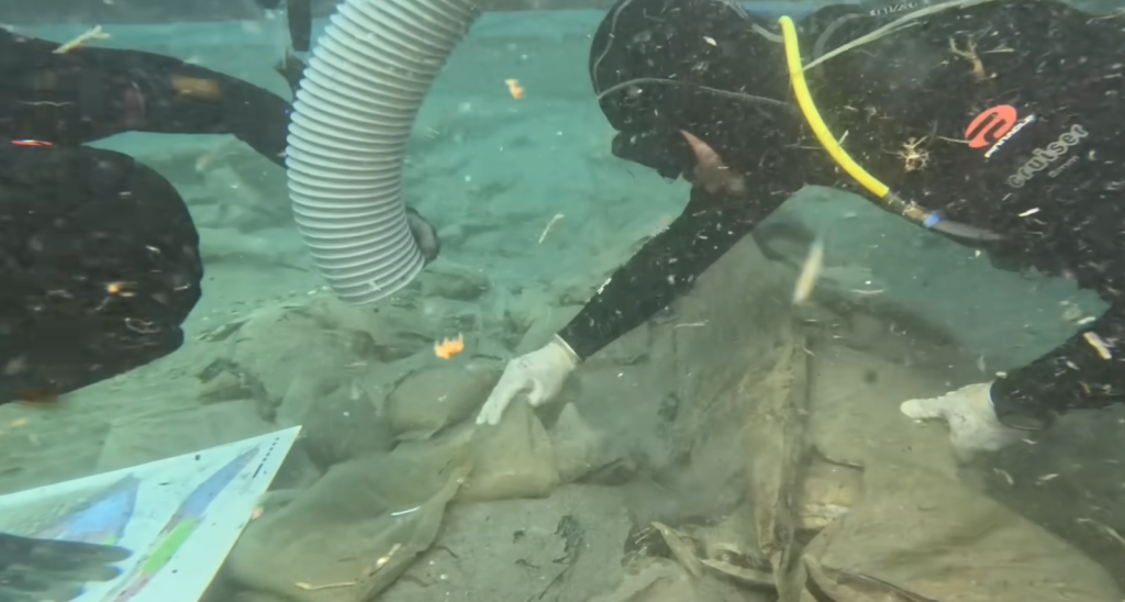 2,600-Year-Old Phoenician Shipwreck Recovered from Spanish Waters