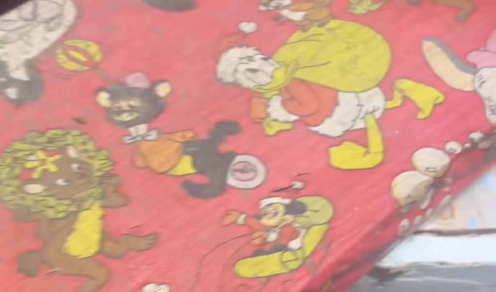 A Christmas Miracle: Man Finds Childhood Gift Hidden in Bathroom Wall