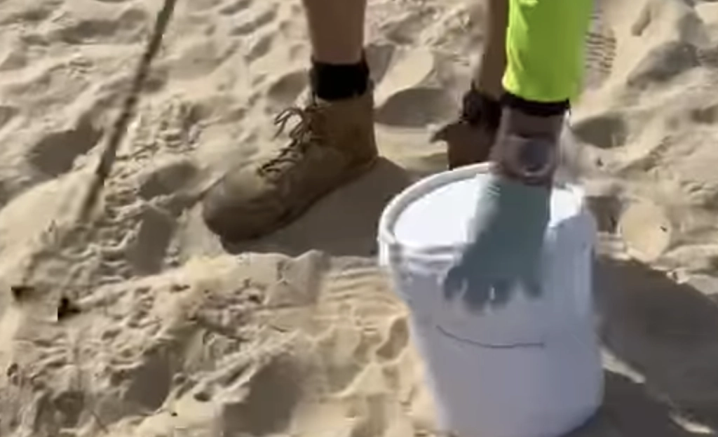 Mysterious Balls Force Beach Closures in Sydney