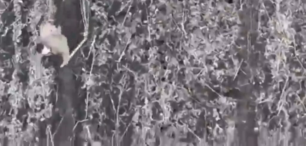 Video Shows Russian Soldiers on Crutches at the Frontlines