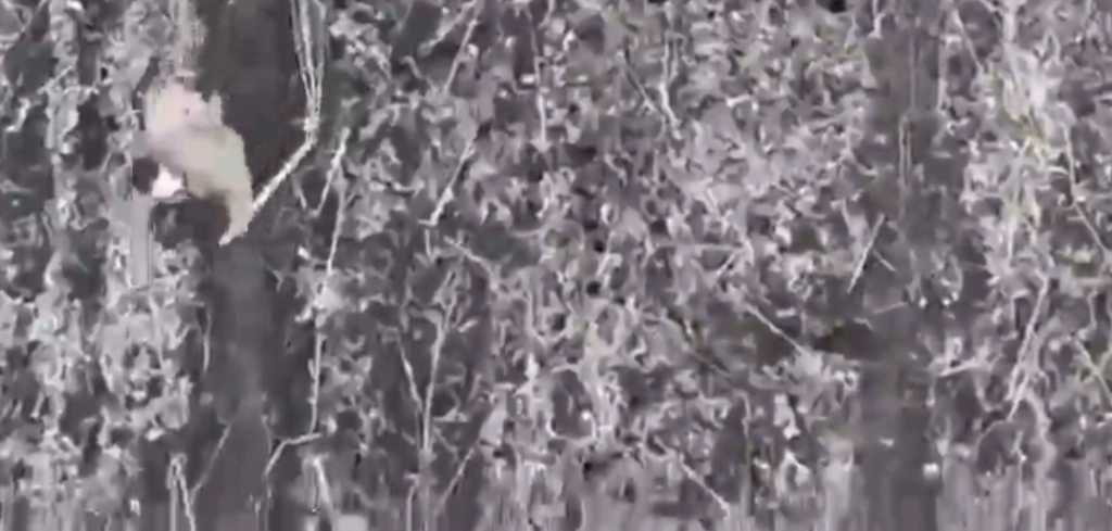 Video Shows Russian Soldiers on Crutches at the Frontlines