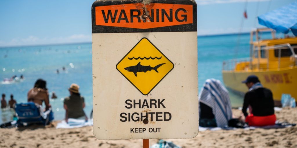 Leg Washed Ashore in Australia After Shark Attack