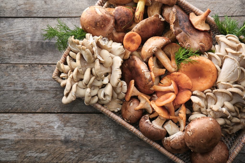 Nationwide Mushroom Recall Due to Listeria Contamination