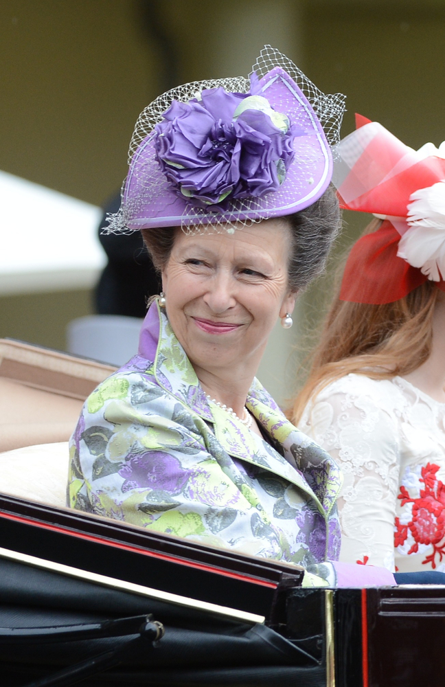 British Princess Anne Hospitalized After Incident With Horse