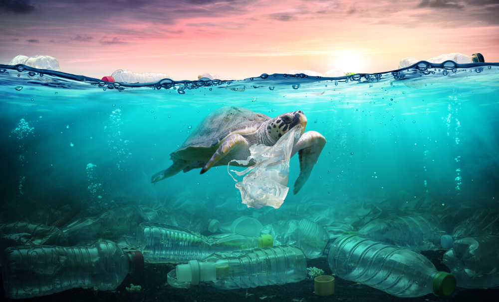 Great news: Big breakthrough in transforming plastic pollution