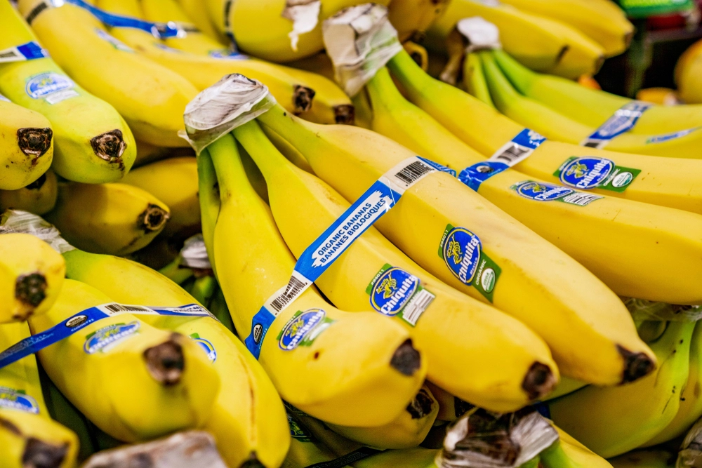 Major Banana Producer Ordered to Pay Millions for Funding Terrorists