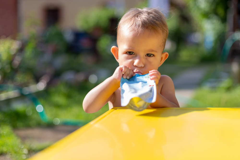 FDA Warns Dollar Tree Over Recalled Fruit Puree Pouches
