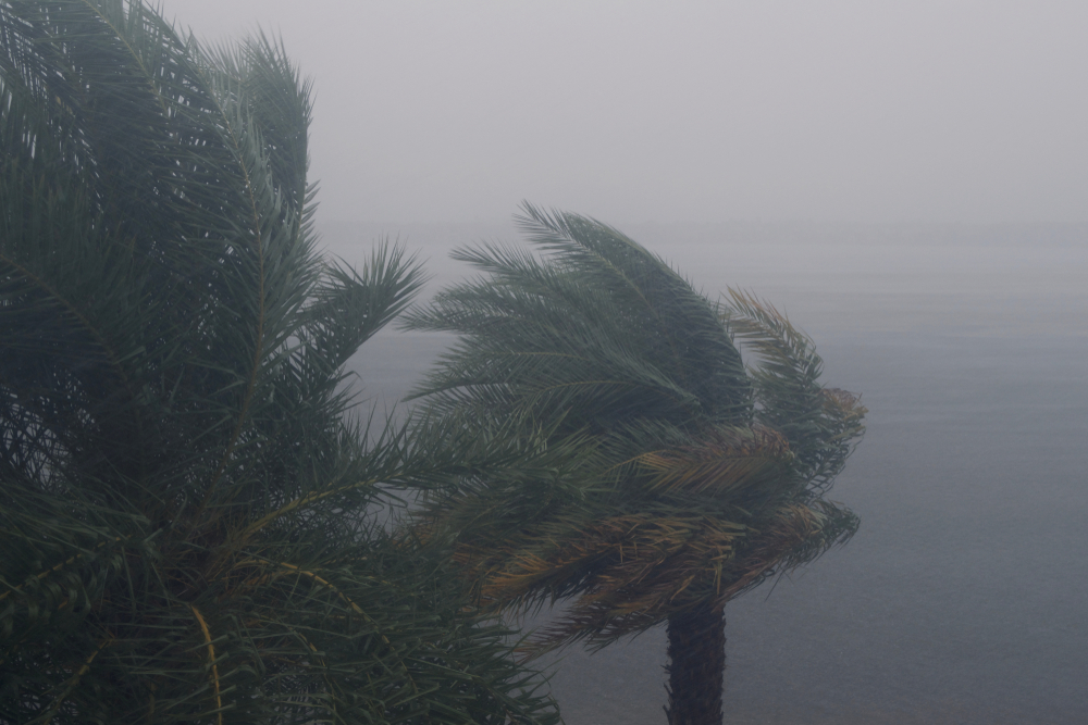 Hurricane ‘Otis’ Is approaching as a category 5 storm: Locals are bracing for a disaster