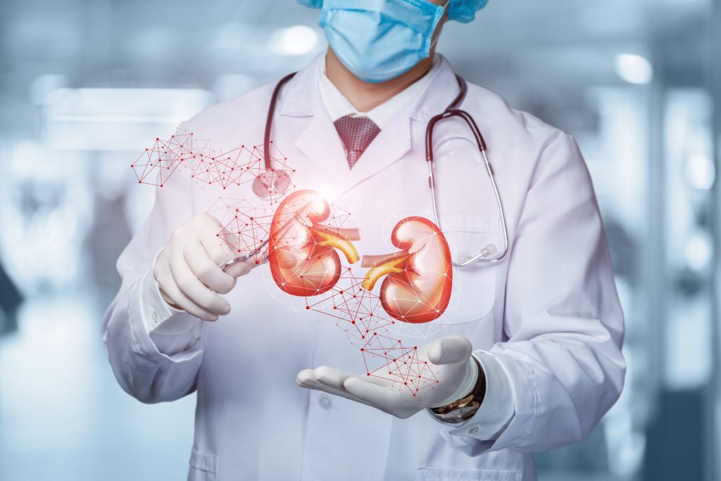 U.S. Study Confirms: Kidney Transplants Are Safe Between People with HIV