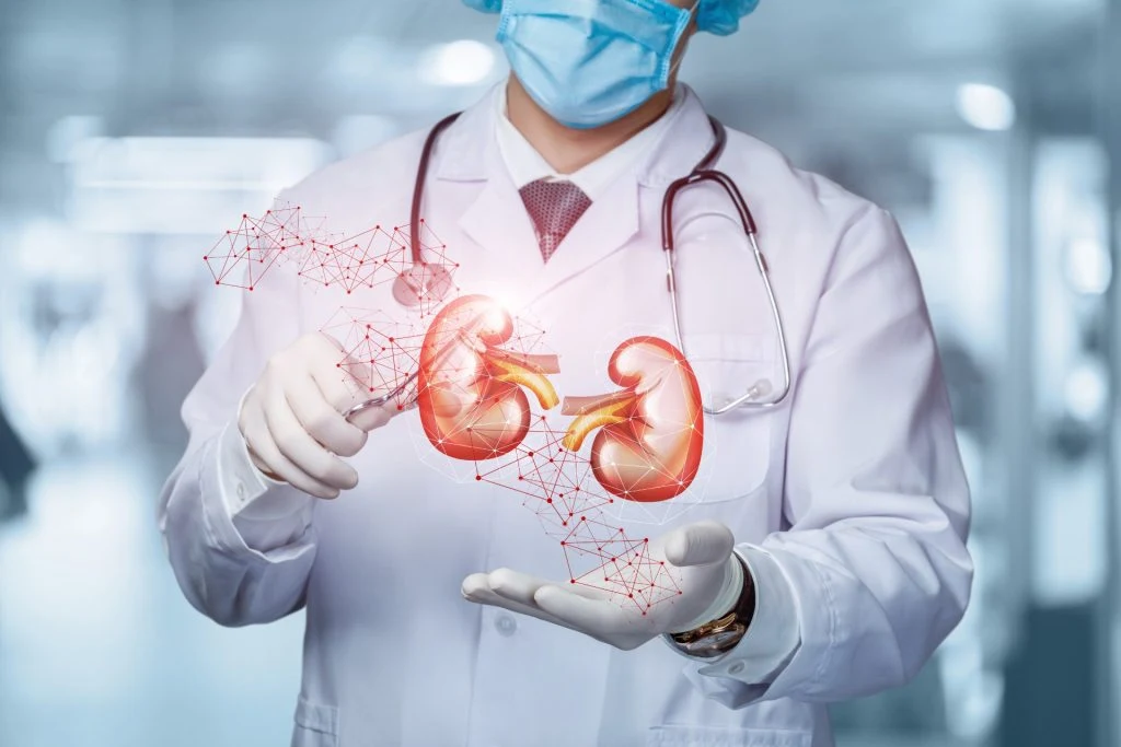 U.S. Study Confirms: Kidney Transplants Are Safe Between People with HIV