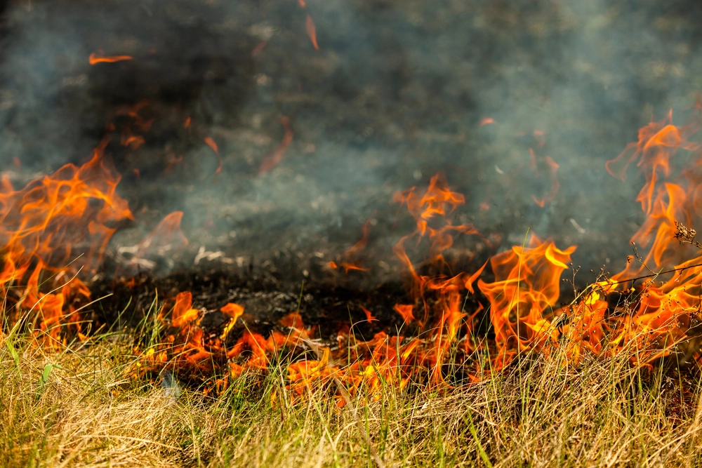 Wildfire Rages in Sigean, Threatening Over 100 Hectares