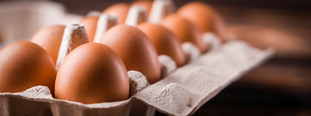 Egg Shortage in the U.S.: Bird Flu Wipes Out Millions of Hens