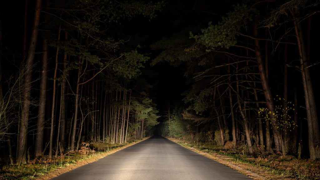 Why Are We Afraid of the Dark?