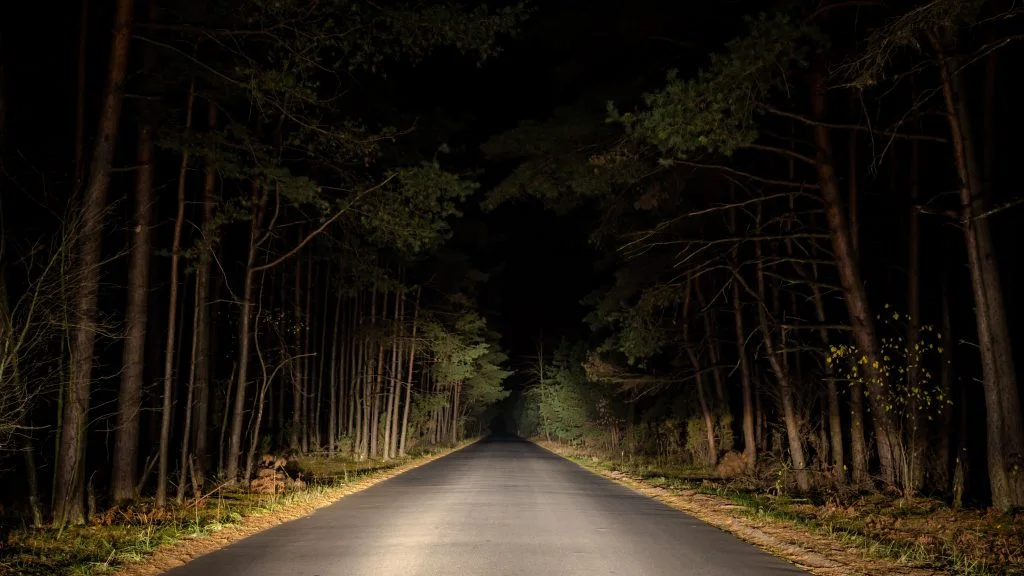 Why Are We Afraid of the Dark?