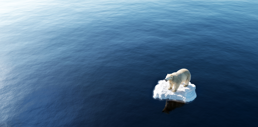 Heat-related deaths projected to soar by 370% by 2050