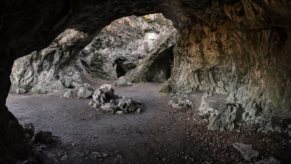 Scientists Uncover Hidden Species Found in Spanish Caves