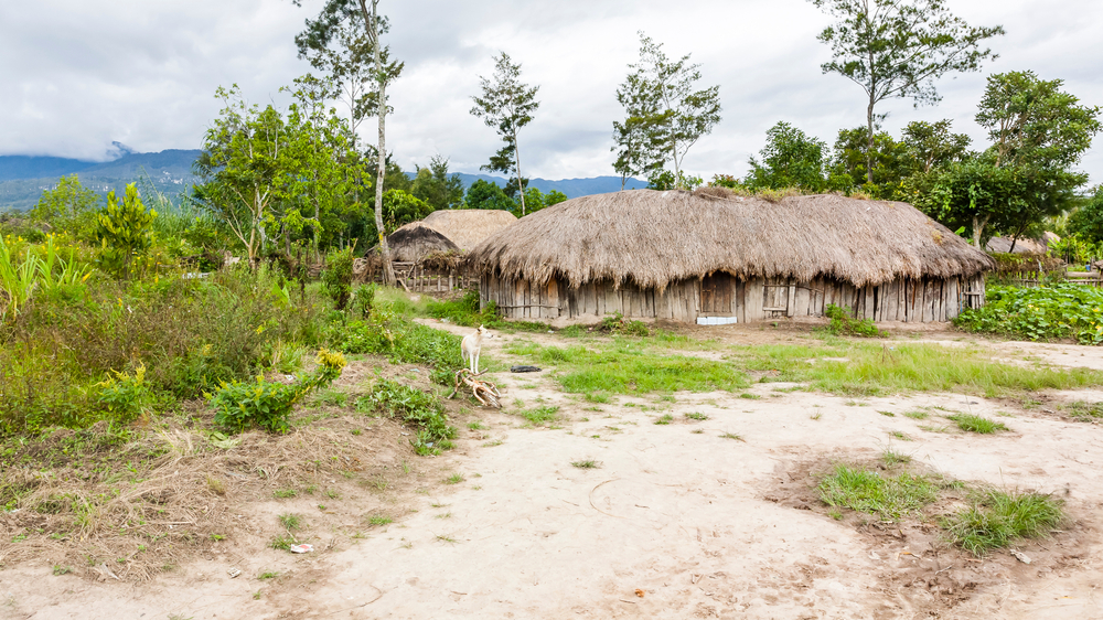 Canibalism Allegations Shock Papua New Guinea