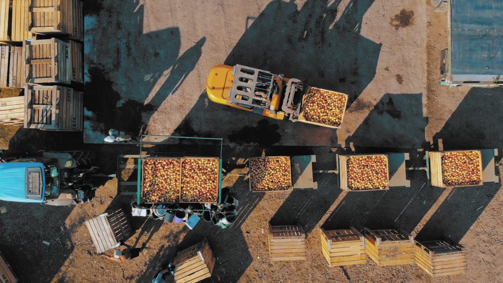 Major Fraud Attempt Targets One of World’s Largest Importers