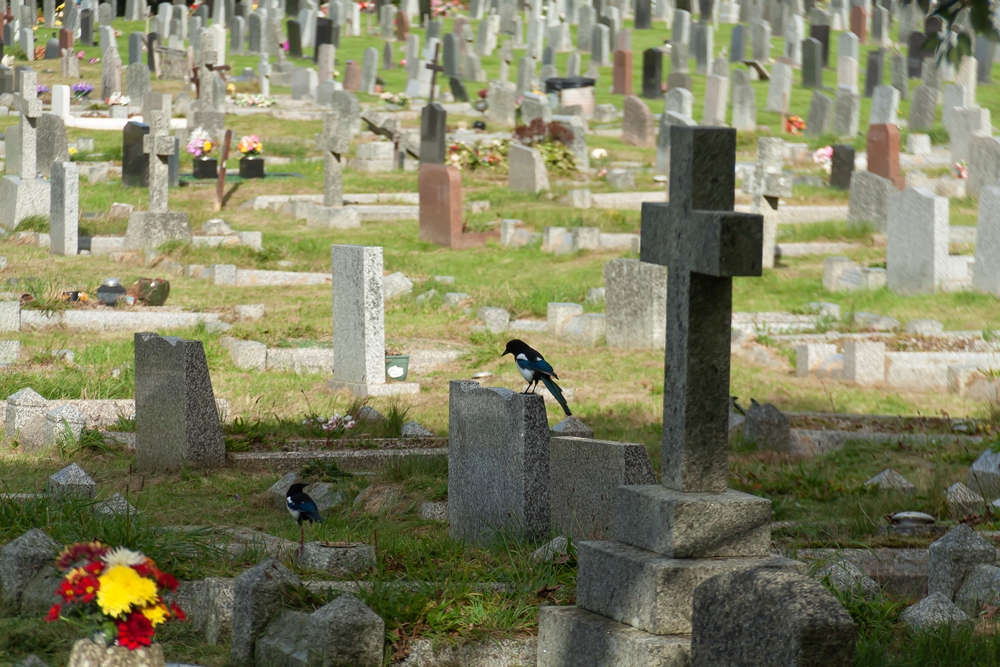 A Village in Italy Offers $1.080 for Cremations Due to Cemetery Space Shortage