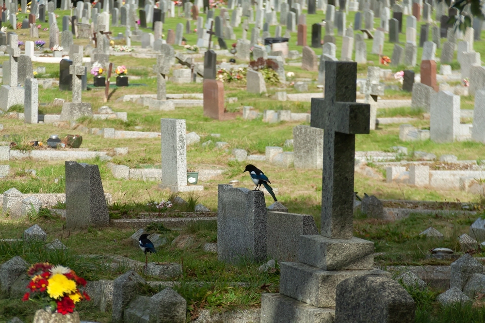 A Village in Italy Offers $1.080 for Cremations Due to Cemetery Space Shortage