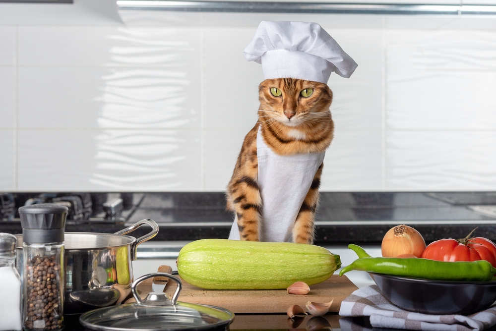 This Couple Does Everything Everywhere With Their Cat