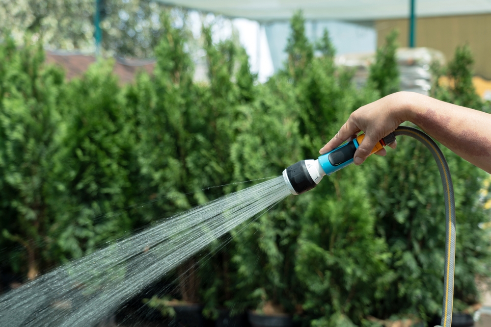 Wash Your Car or Water Your Garden: Could Result in Fines Up to $217