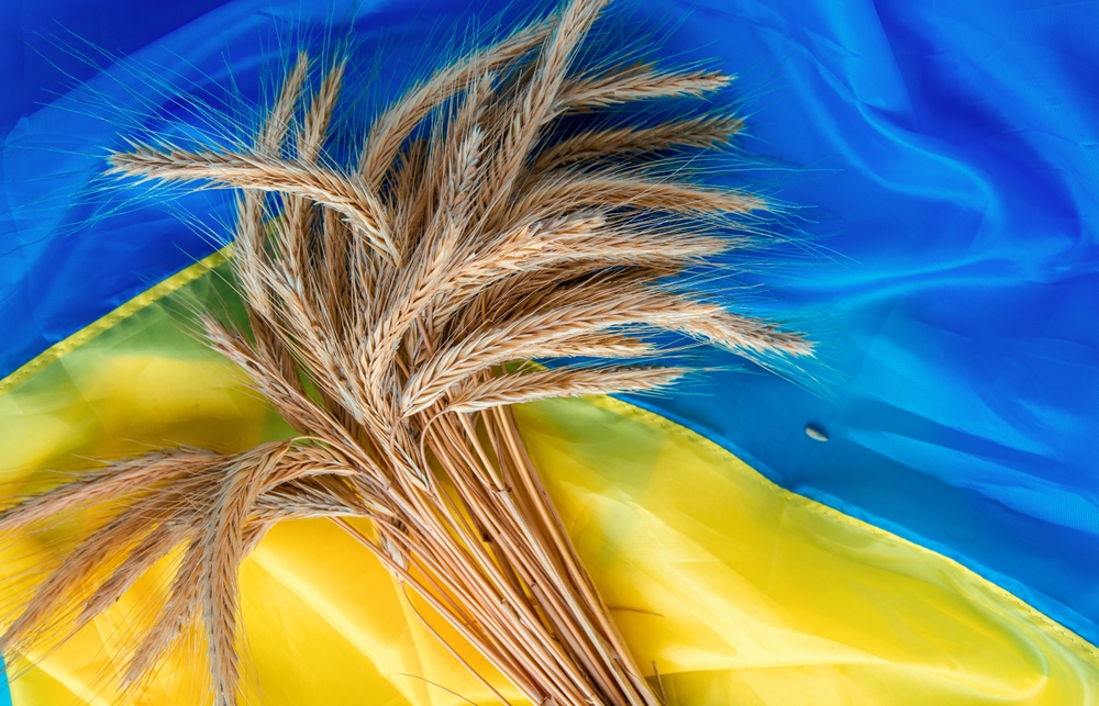 Ukraine’s Black Sea grain corridor grinds to a halt – Find out what Russia did this time