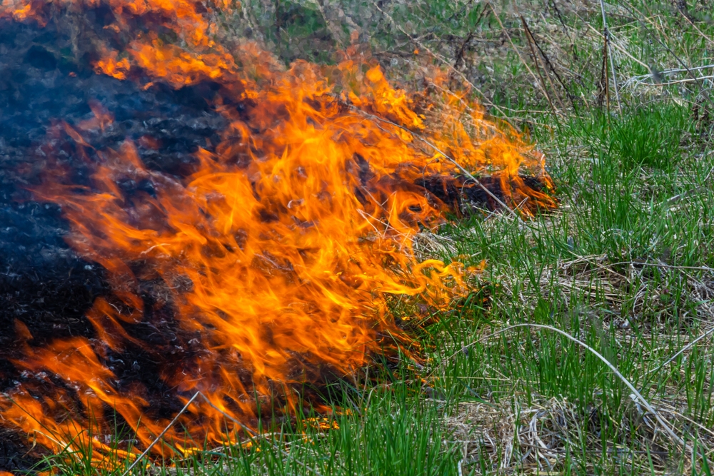Wildfires Force Evacuation of Canadian Prison