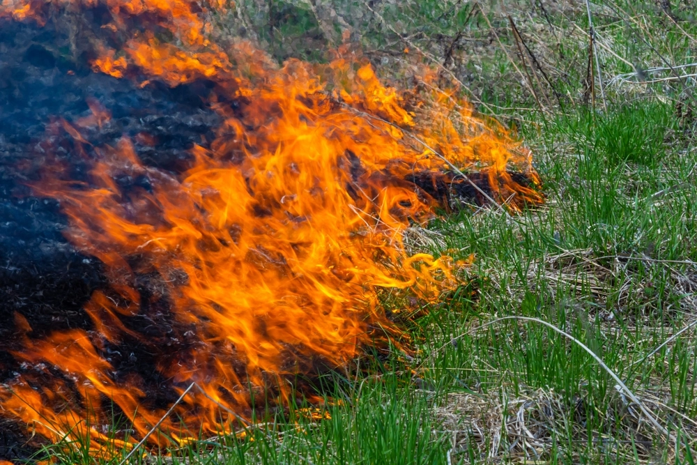 Wildfires Force Evacuation of Canadian Prison