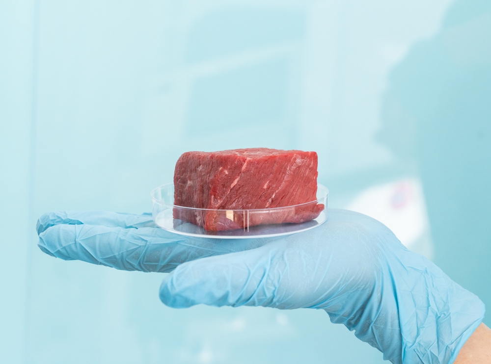 UK to Lead Europe in Commercializing Lab-Grown Meat for Pets