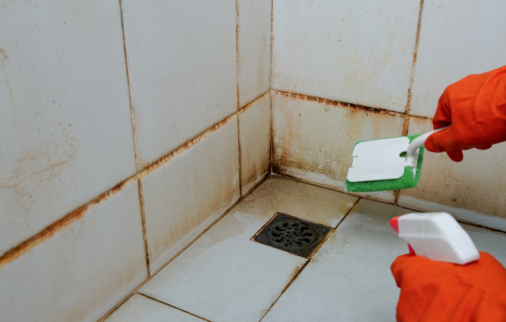 Eliminate Shower Mold in Just 10 Minutes Without Bleach – And Keep It From Returning