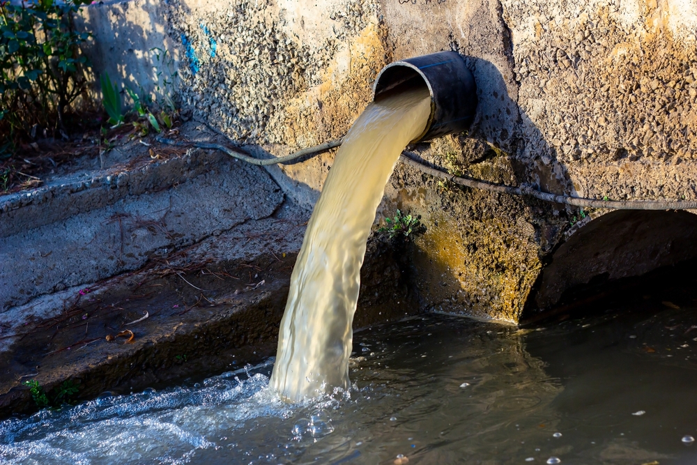 French Authorities Intensify Wastewater Surveillance for Paris 2024 Games
