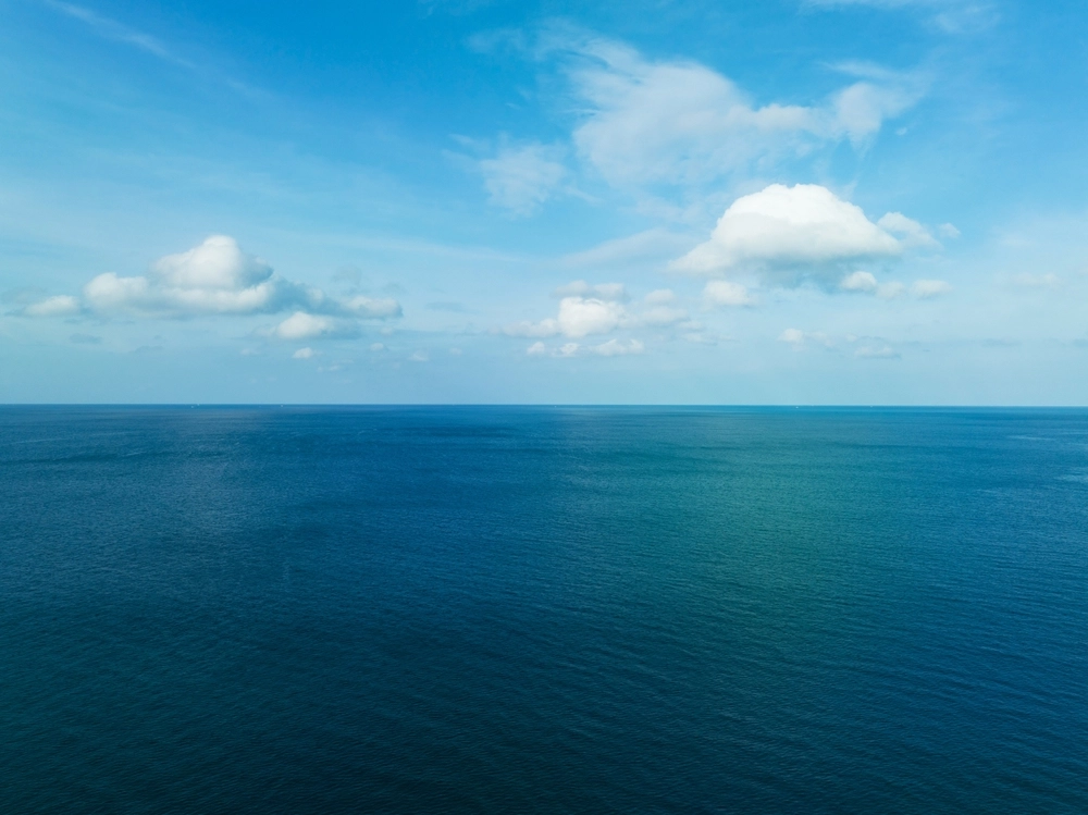 Greenpeace Calls for Action as Toxic PFAS Contaminate the Baltic Sea