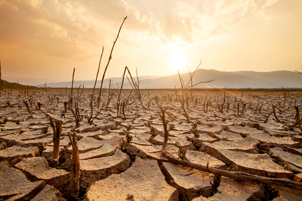 New climate report reveals: Last 12 Months hottest on record ever